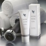 205 Aloe-MSM-Gel