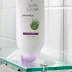 260 Aloe Jojoba Shampoo